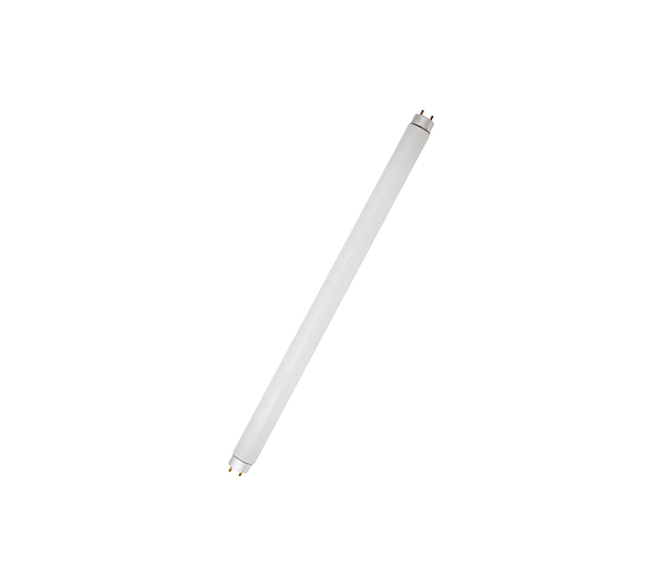 ������ӫ��� Reptile Fluorescent lamp
