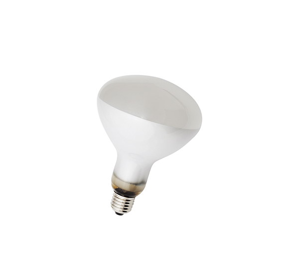 ȫ����̫����  Reptile Lamp-BHPM Inside frosted