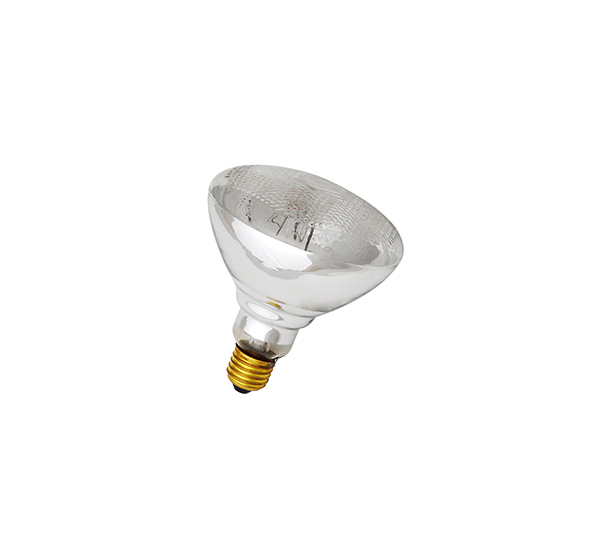 Reptile Lamp-PAR38